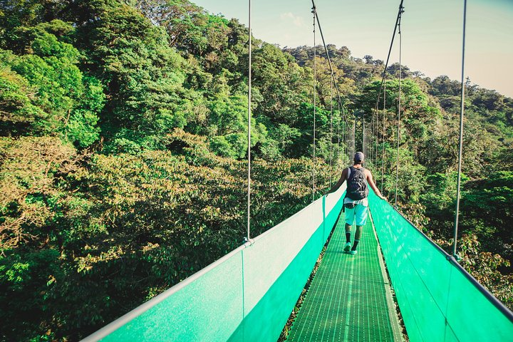 Sky Walk From Monteverde - Photo 1 of 13